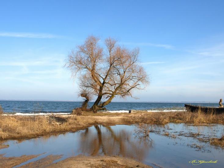 Сухолужжя з panoramio.com - Сухолужжя