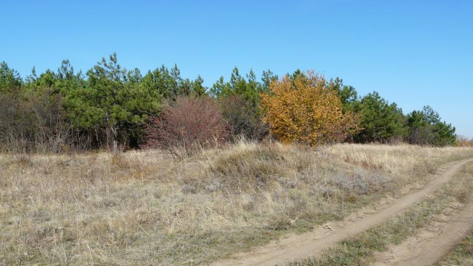 Новокатеринівка з panoramio.com - Новокатериновка