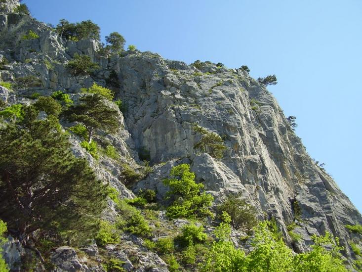 Санаторне з panoramio.com - Санаторне