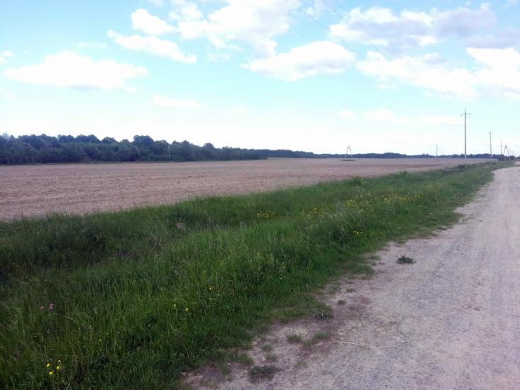 Барвинівка з panoramio.com - Барвинівка