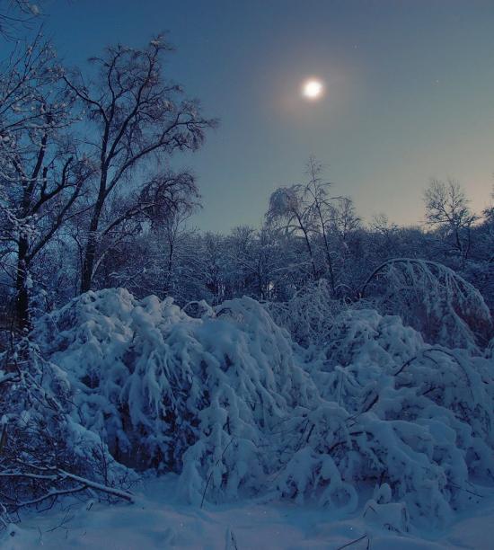 Скалівські Хутори з panoramio.com - Skalivski Khutory