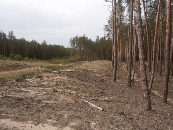 Деменці з panoramio.com - Деменці