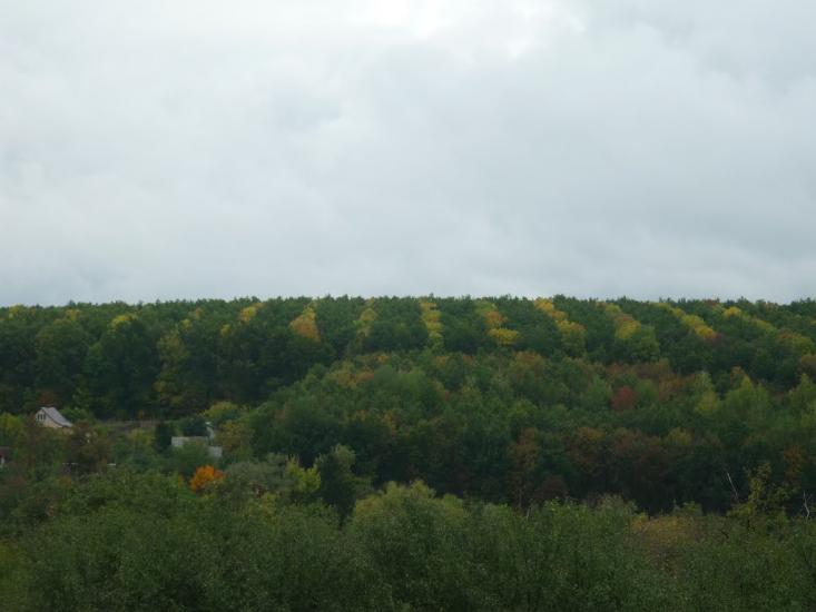 В'язове з panoramio.com - В'язове