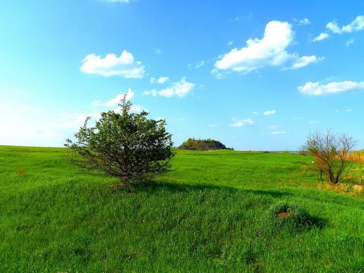 Шимшинівка з panoramio.com - Шимшинівка