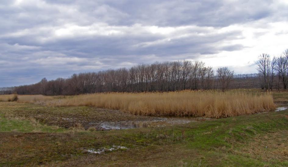 Височинівка з panoramio.com - Высочиновка