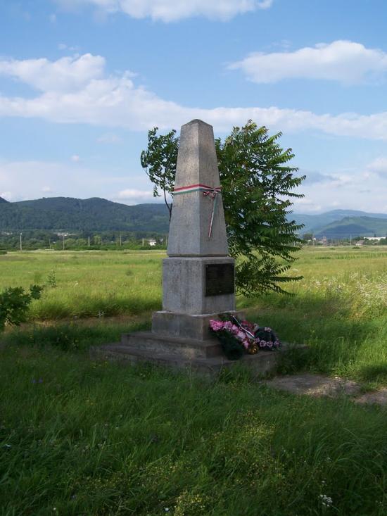 Свалява з panoramio.com - Свалява
