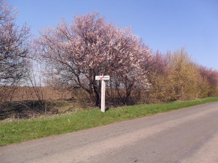 Суха Балка з panoramio.com - Суха Балка