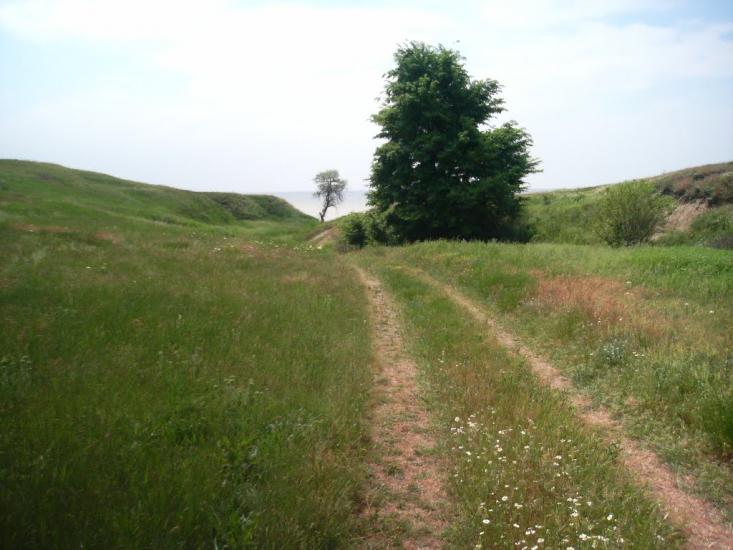 Лупареве з panoramio.com - Лупарево