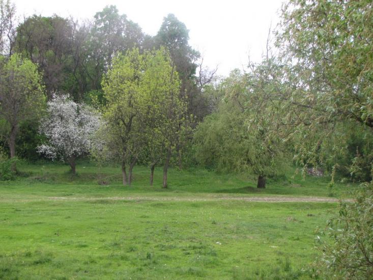 Яцьки з panoramio.com - Яцки