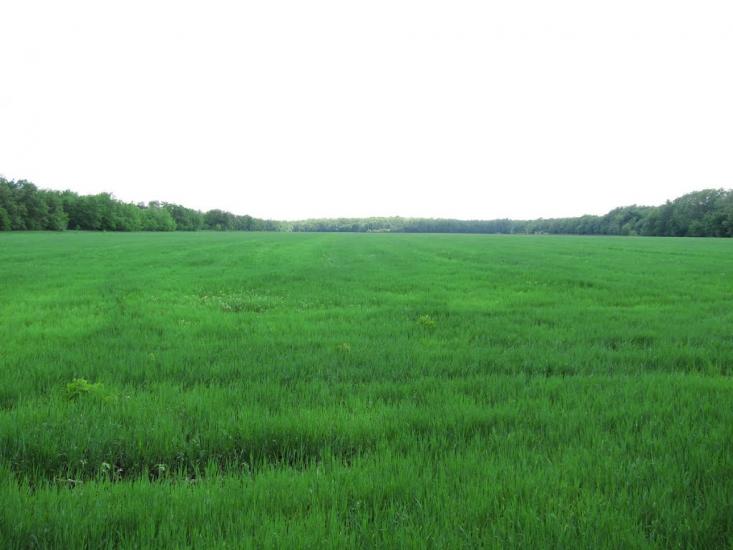 Львів з panoramio.com - Львів