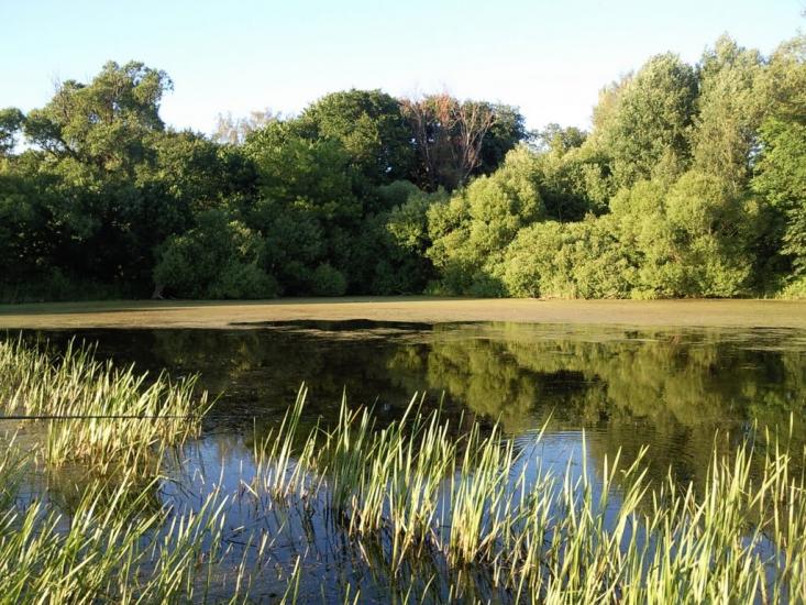 Рубанка з panoramio.com - Рубанка