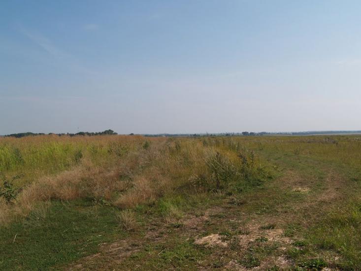 Кустівці з panoramio.com - Кустівці