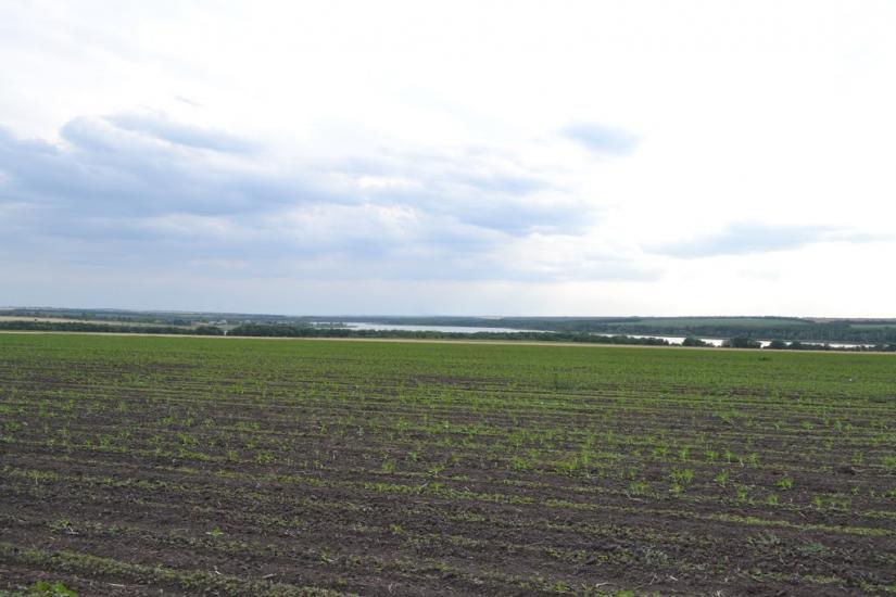 Чумаки з panoramio.com - Чумаки