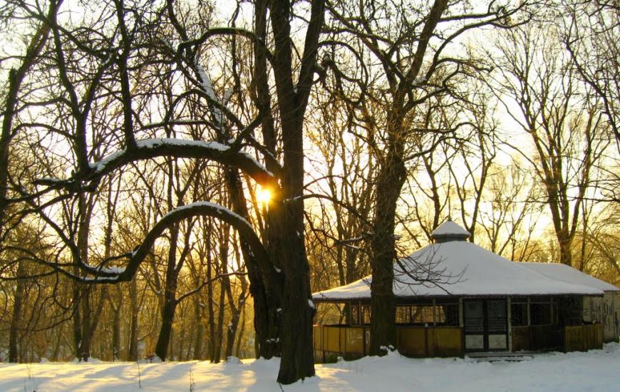 Горохів з panoramio.com - Горохів