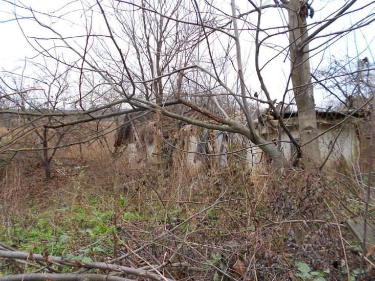 Думанці з panoramio.com - Думанцы