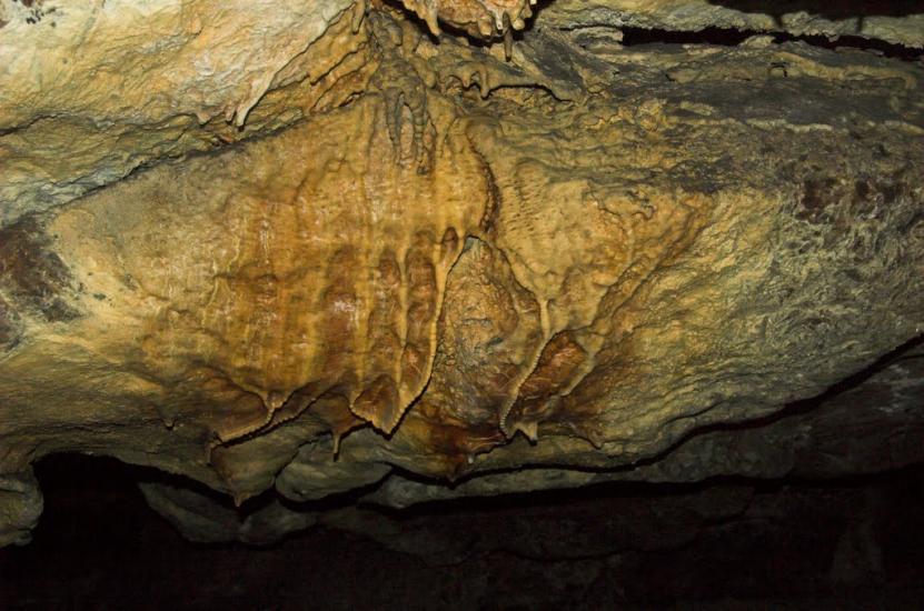 Залісся з panoramio.com - Залісся