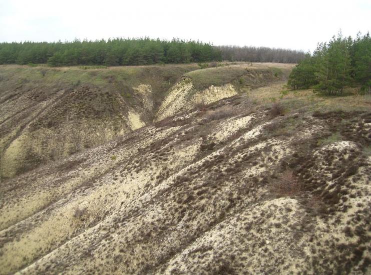 Дмитрівка з panoramio.com - Дмитровка