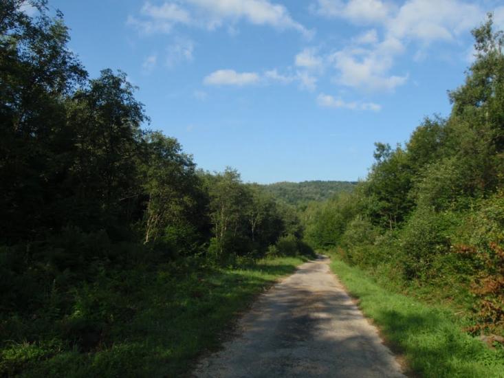 Княгиня з panoramio.com - Княгиня