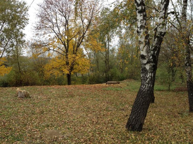 Бобрівники з panoramio.com - Бобрівники
