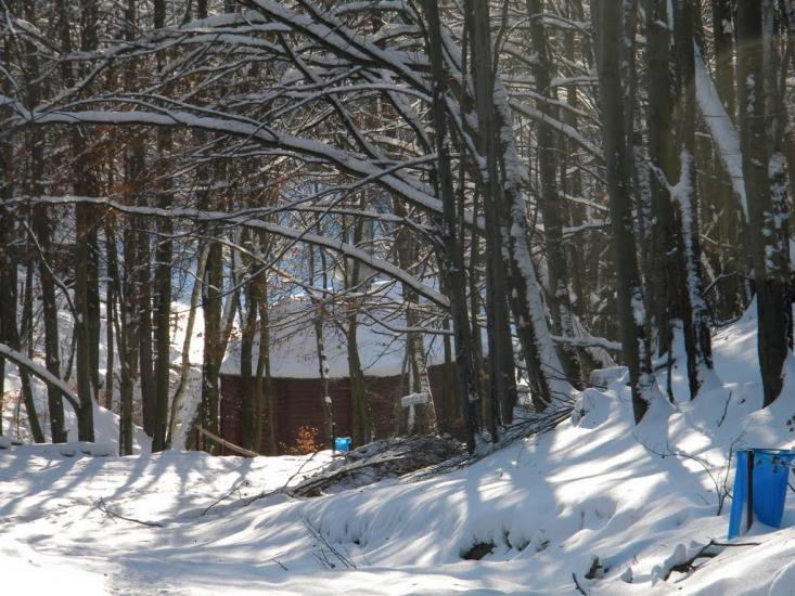 Великі Макари з panoramio.com - Великі Макари