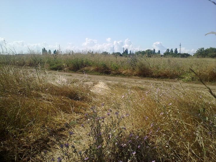 Армянськ з panoramio.com - Армянськ