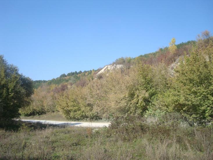 Кутківці з panoramio.com - Кутковцы