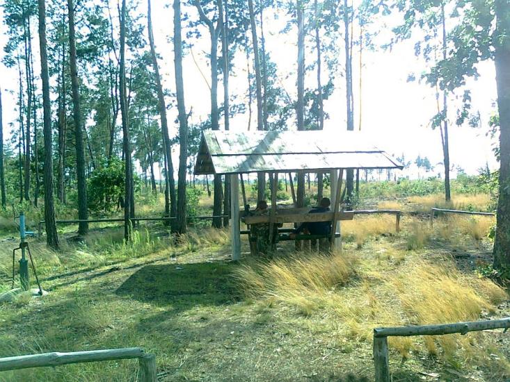 Зелена з panoramio.com - Зелена