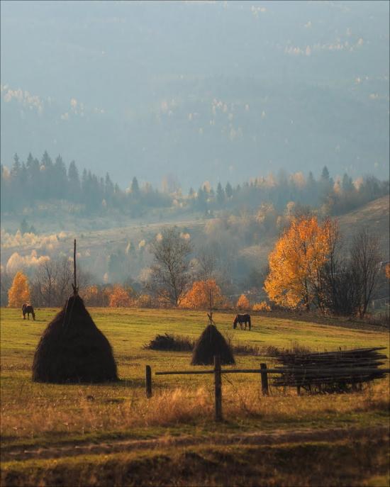 Пашківці з panoramio.com - Pashkivtsi