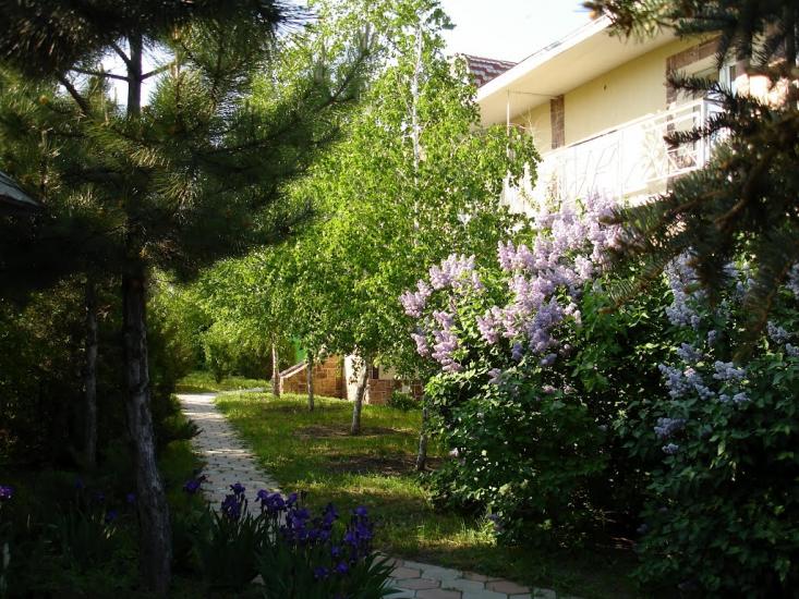 Велика Балка з panoramio.com - Велика Балка