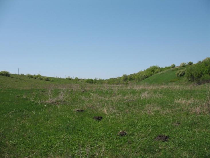 Аркадівка з panoramio.com - Аркадівка