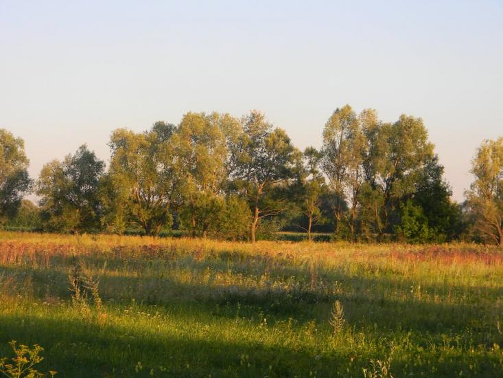 Білозір'я з panoramio.com - Белозерье