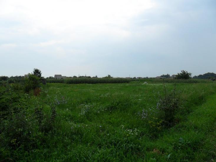 Вапнярка з panoramio.com - Вапнярка