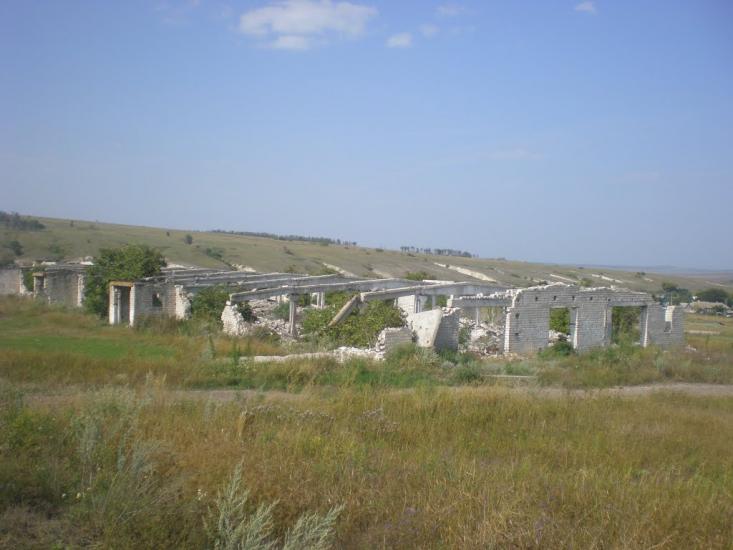 Радісне з panoramio.com - Радісне