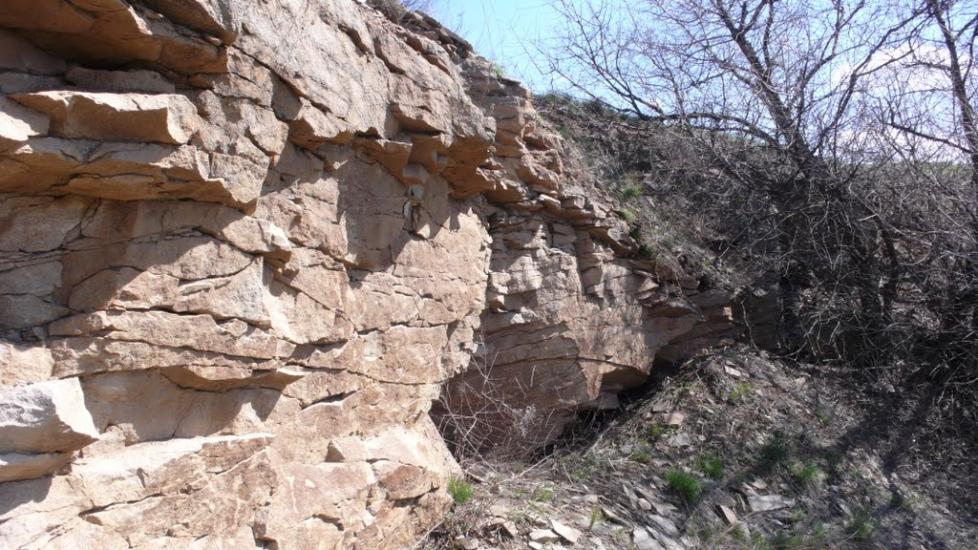 Берегове з panoramio.com - Берегове