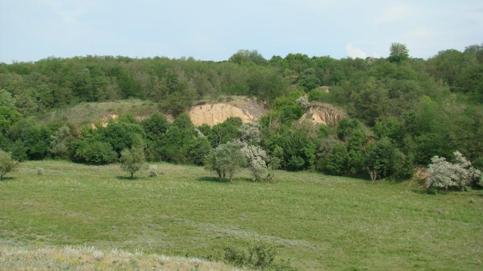 Добра Надія з panoramio.com - Добра Надія