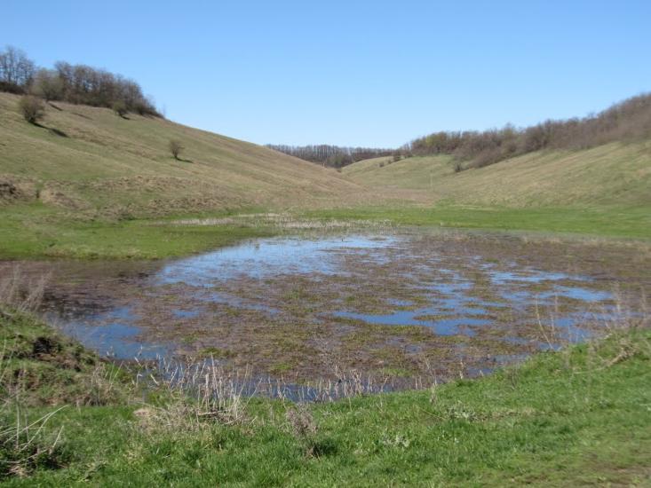Мартинівка з panoramio.com - Мартинівка
