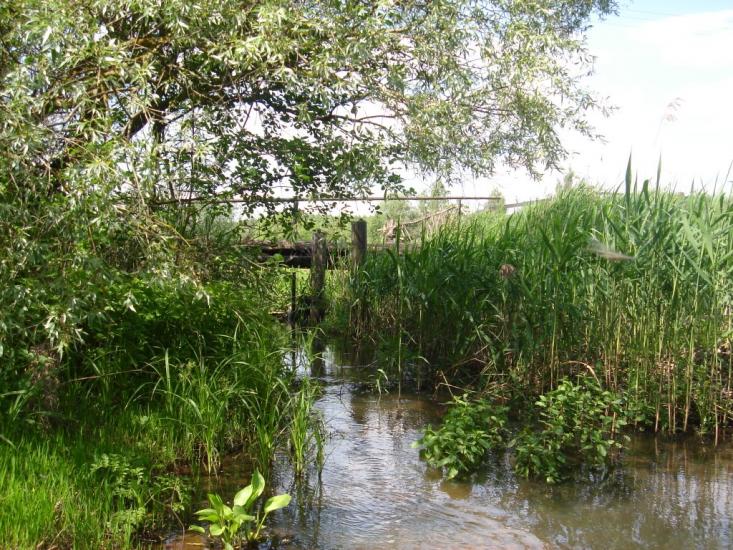 Хочева з panoramio.com - Хочева