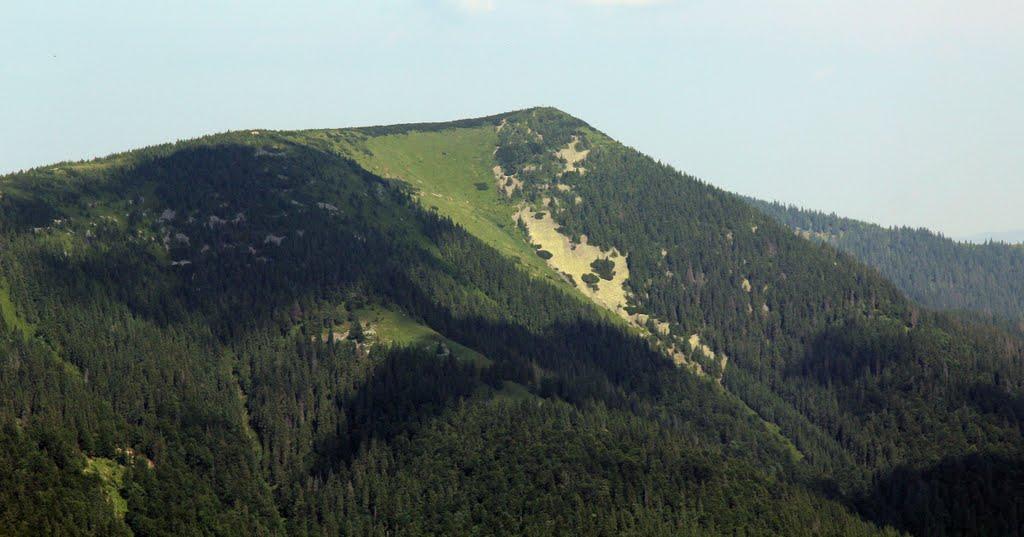 Стригальня з panoramio.com - Стригальняя