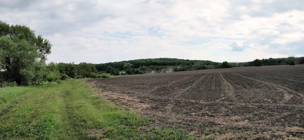 Бахматівці з panoramio.com - Bakhmativtsi