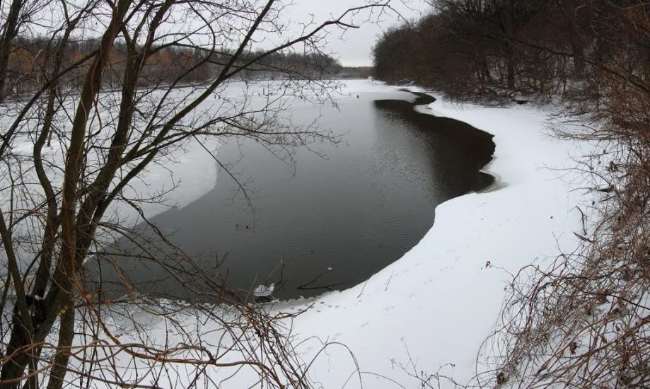 Журівка з panoramio.com - Журівка