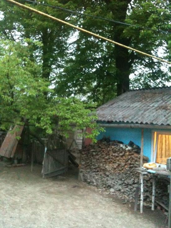 Бондарів з panoramio.com - Бондарев