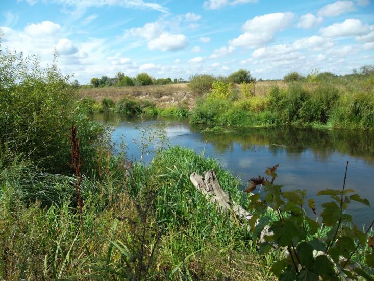 Білий Берег з panoramio.com - Білий Берег