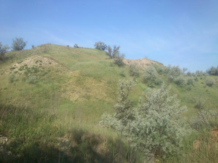 Орджонікідзе з panoramio.com - Орджоникидзе