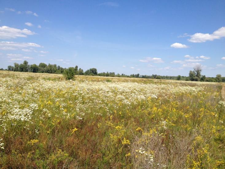 Літочки з panoramio.com - Леточки