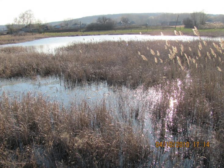 Мілуватка з panoramio.com - Мілуватка