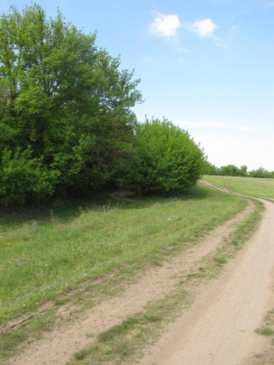 Яцьки з panoramio.com - Яцки