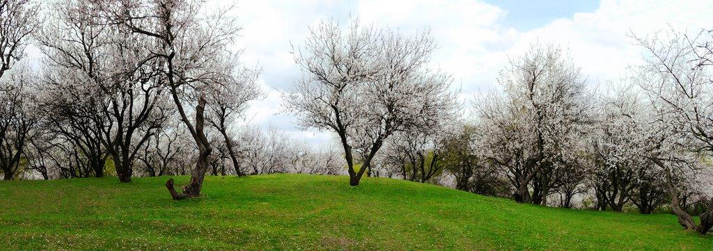 Ромни з panoramio.com - Ромни