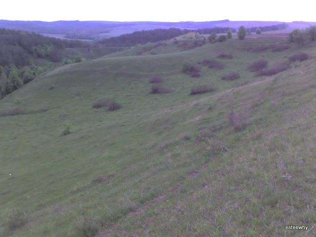 Грищинці з panoramio.com - Грищинцы