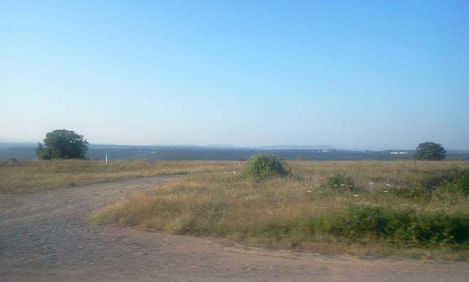 Фруктове з panoramio.com - Фруктовое