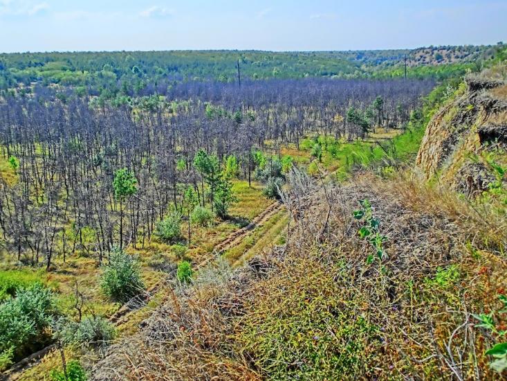Головківка з panoramio.com - Головковка
